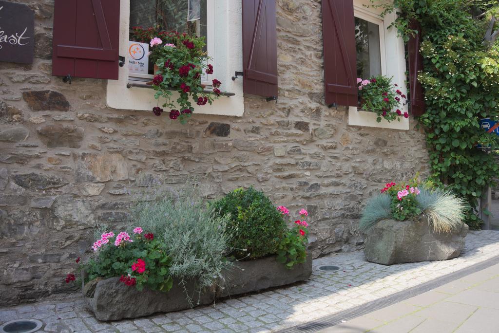 Hotel Garni Altes Winzerhaus Moselschaenke 코베른곤도르프 외부 사진