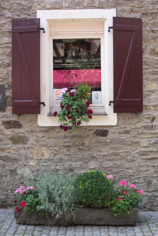 Hotel Garni Altes Winzerhaus Moselschaenke 코베른곤도르프 외부 사진