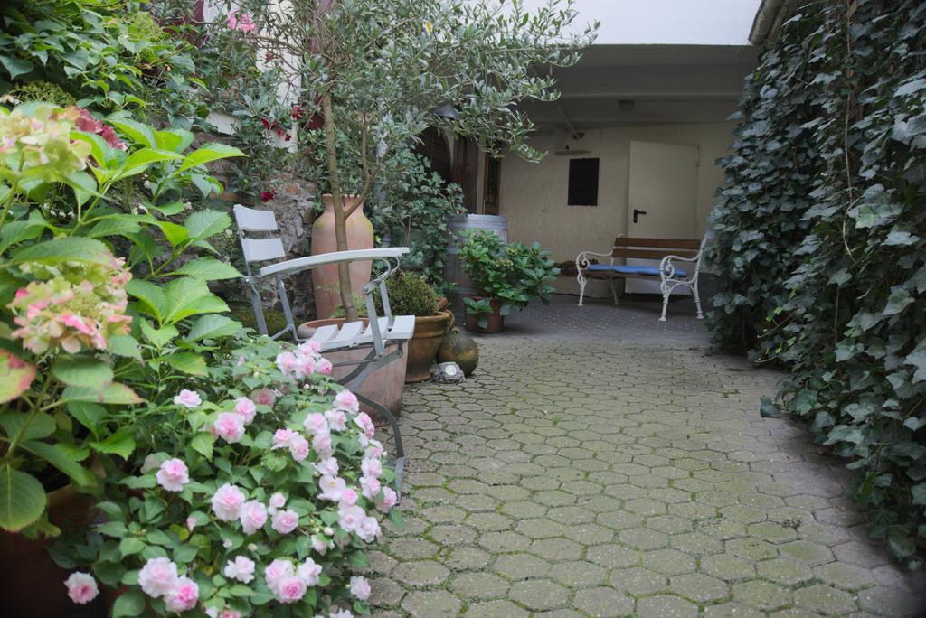 Hotel Garni Altes Winzerhaus Moselschaenke 코베른곤도르프 외부 사진